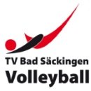 Logo: TV Bad Säckingen 2