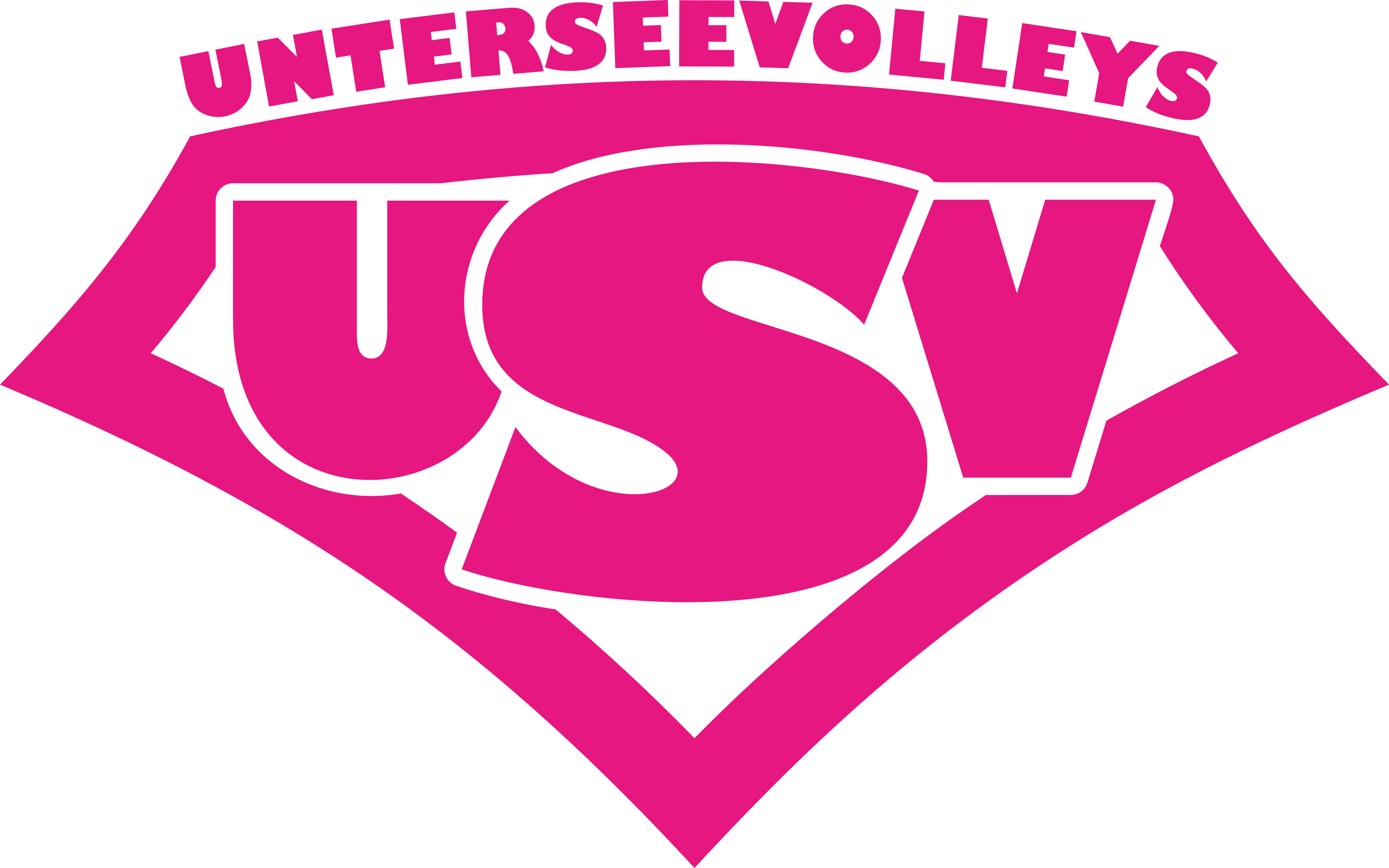 Logo: Untersee Volleys Radolfzell 1