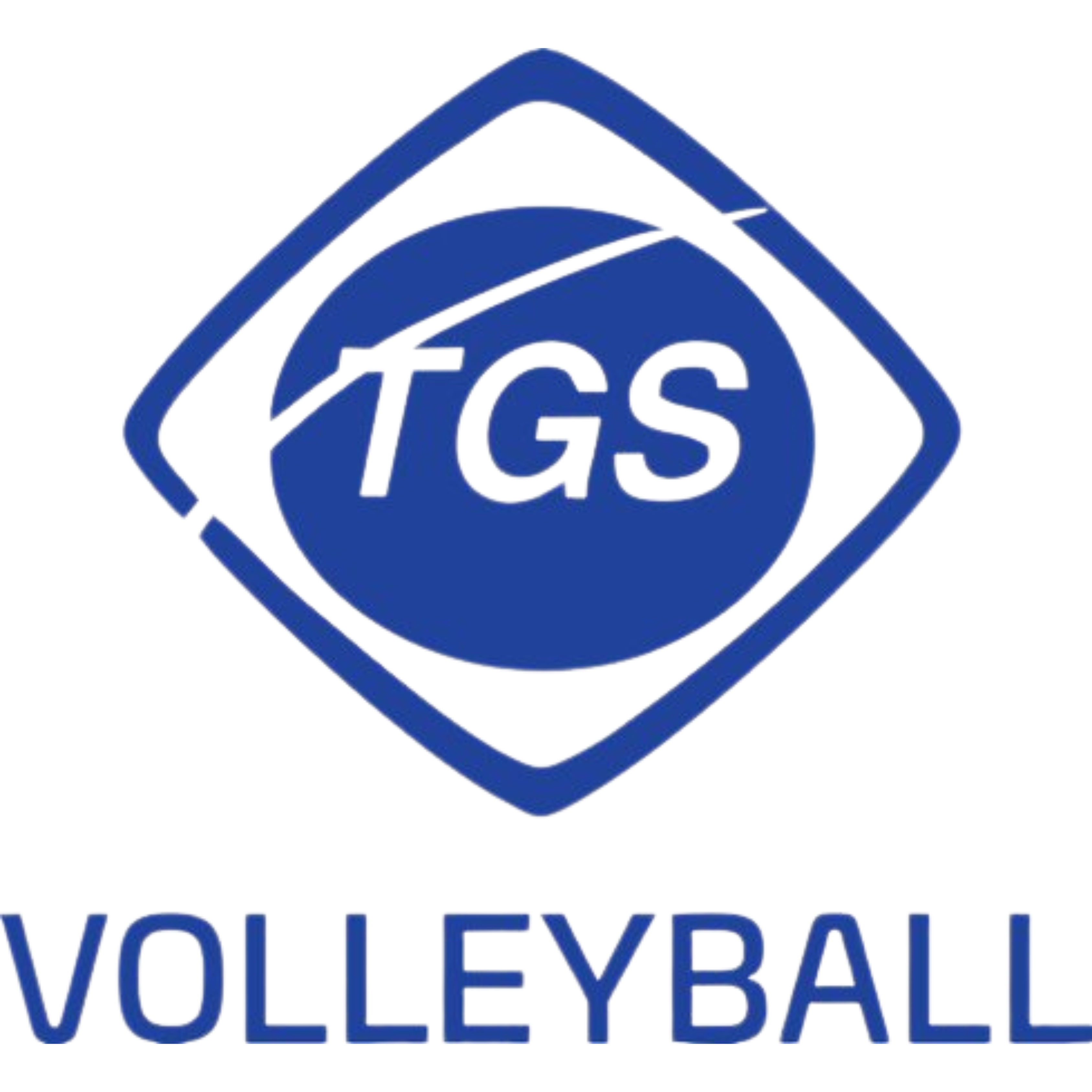 Logo: TG Schwenningen 2