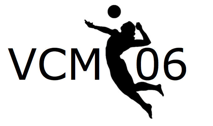 Logo: VC Minseln 1